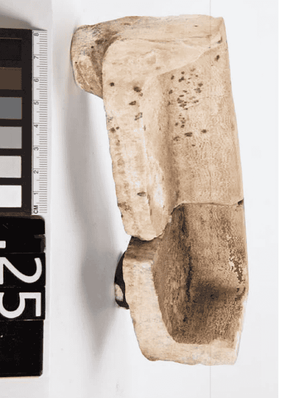 جزء من حوض ماء